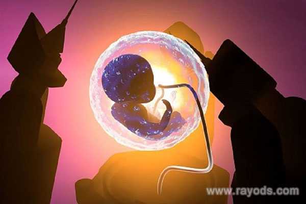 怀孕胚胎发育不全_有习惯性流产迹象_上海九院试管婴儿怎么样？