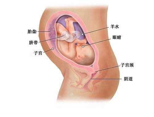 贵州试管选男孩_取卵成功泰国试管婴儿就能成功吗，注意这些