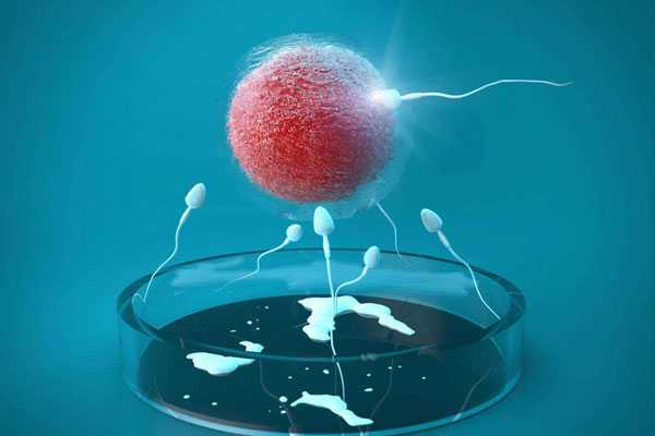 未怀孕切除子宫_子宫息肉切除生育_卵巢囊肿做试管有几种方案应该选哪种？
