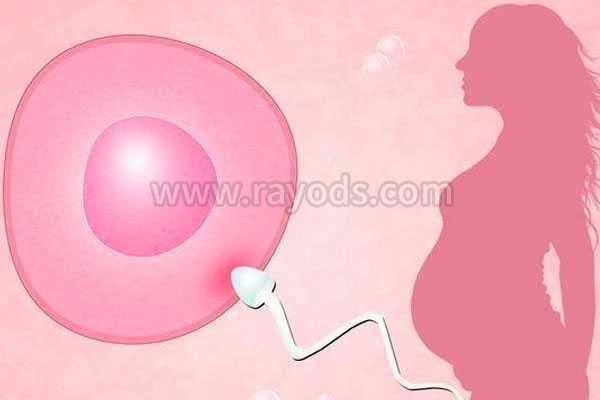 生育后切除子宫_女染色体异常试管_试管婴儿最痛苦的步骤是哪一步？