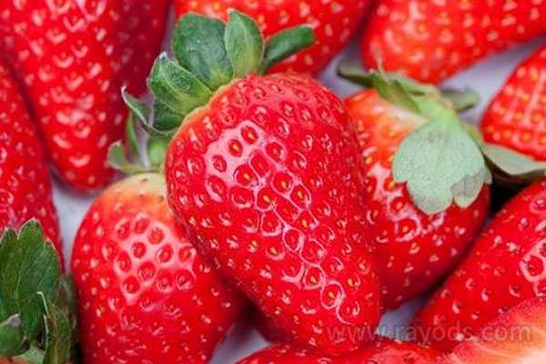 试管移植冻囊胚后12天能吃草莓吗？孕妇可以吃草莓吗