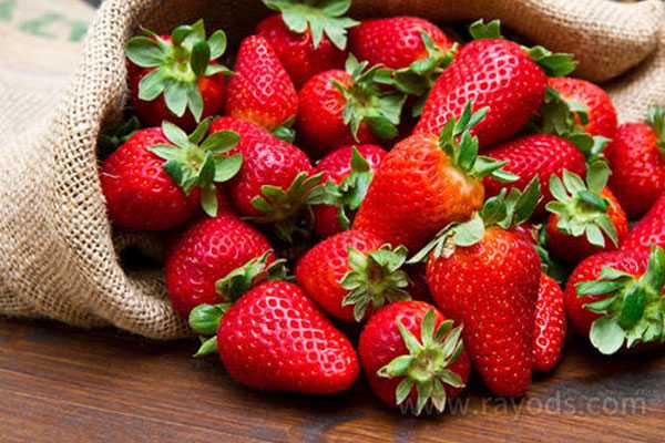 试管移植冻囊胚后12天能吃草莓吗？孕妇可以吃草莓吗