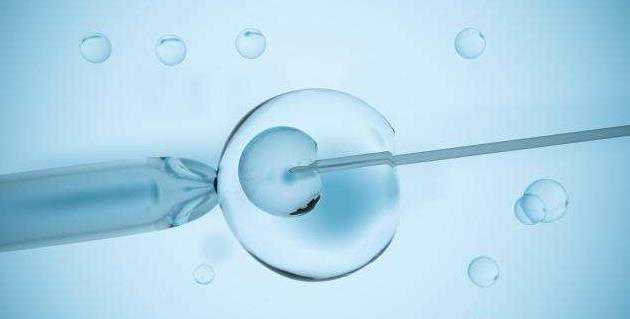 子宫切除却怀孕了_子宫切除生育_一个简单的试管婴儿术，却是女人难以承载之