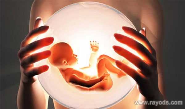 胚胎发育空化不全_纵膈子宫怀孕_柬埔寨金边第一试管婴儿诊所哪个医生做试管
