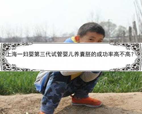 上海一妇婴第三代试管婴儿养囊胚的成功率高不高？