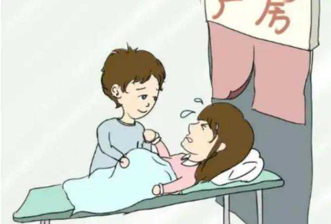 浙江自愿捐卵子 浙江做试管婴儿好的医院是杭州邵逸夫医院吗? ‘五个月四维女