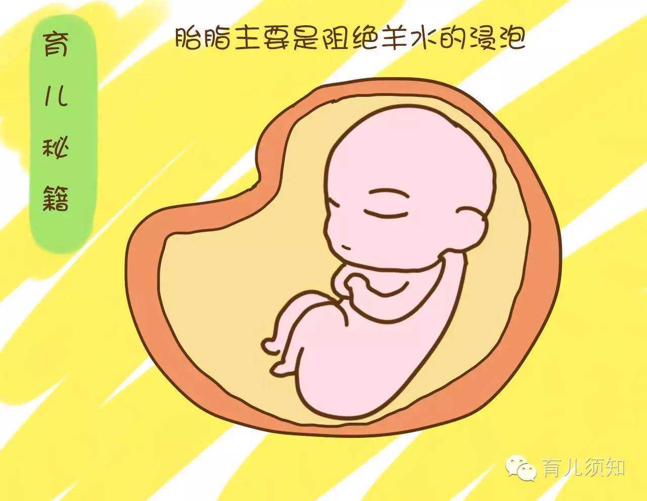 郑州供卵费用_上海市第一妇婴保健院试管婴儿好不好？受孕率如何？